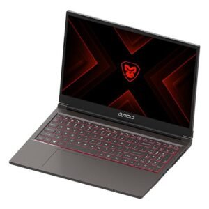 Axioo Pongo 750 - 165X1 RTX4050 I7-13620H 16GB 512GB