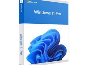 Microsoft Windows 11 Professional 64Bit English Intl 1PC OEM DVD FQC - 10528 Lisensi Win11 Pro Software Operating System OS
