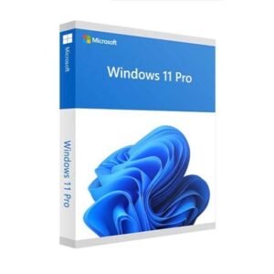 Microsoft Windows 11 Professional 64Bit English Intl 1PC OEM DVD FQC - 10528 Lisensi Win11 Pro Software Operating System OS